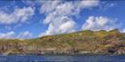Nepean Island - Norfolk Island - NSW (PBH4 00 12370)